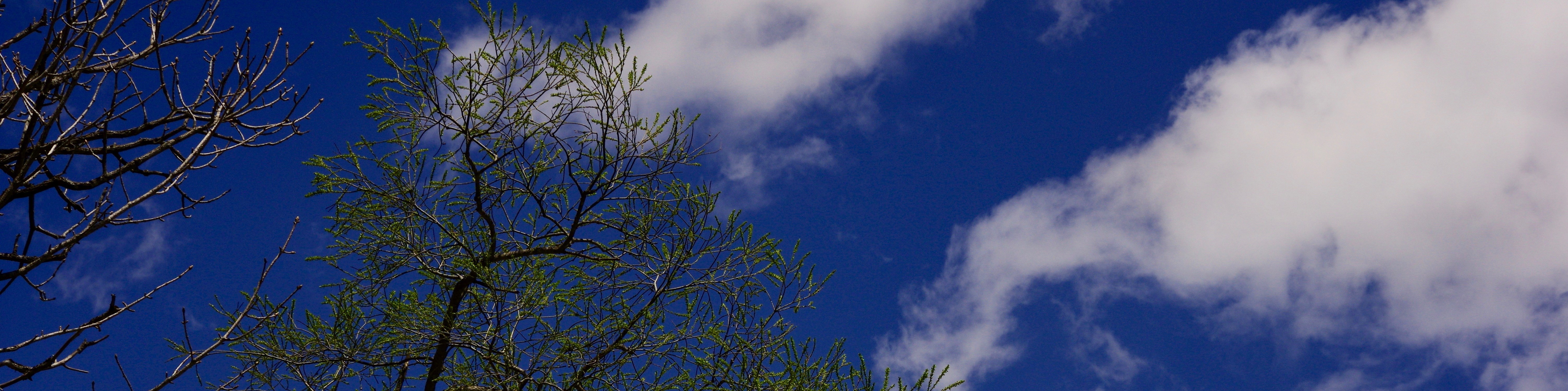 ���w�l�ވ琬�v���O�������c��