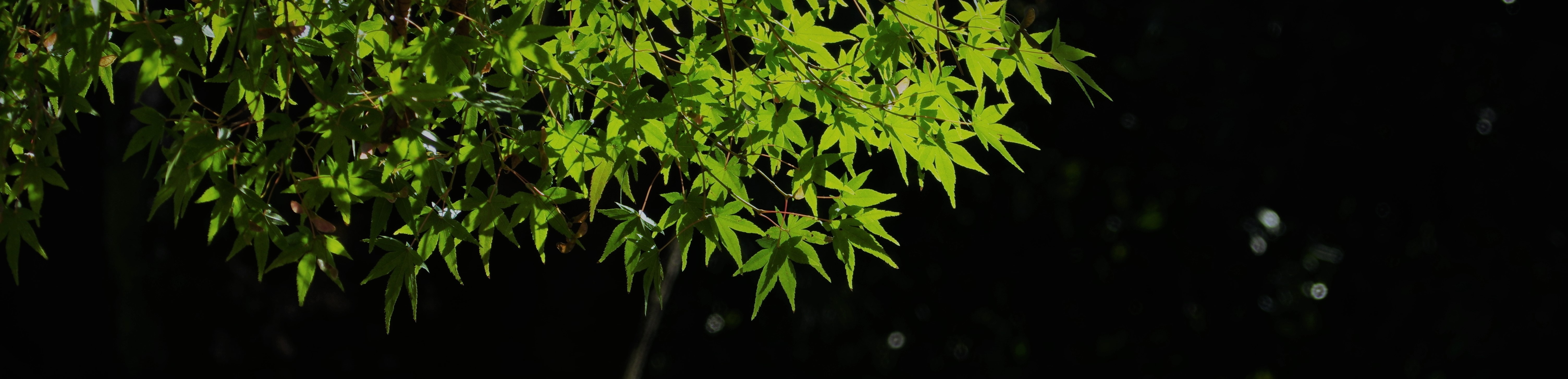 ����E�\��